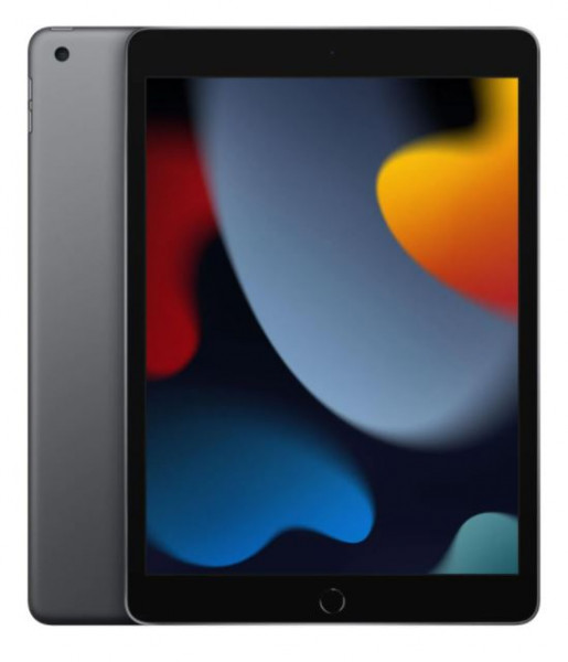 Apple iPad 9th gen (2021) - 256 GB - space gray - WiFi + Cellular