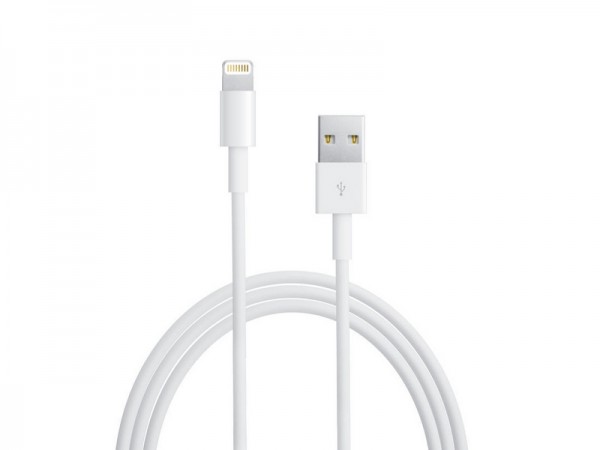 USB-Lightning-Kabel für iPad und iPhone, 1 Meter, Original Apple